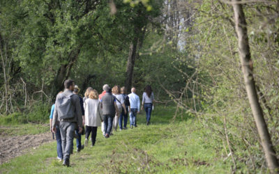 Da dove nasce il Forest Coaching?