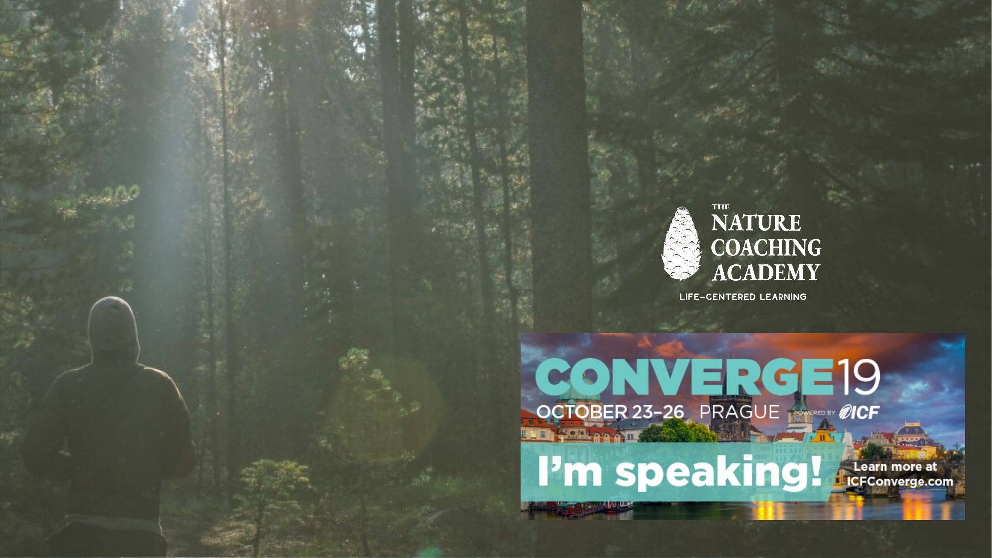 ICF-nature-coaching ICF-nature-coaching