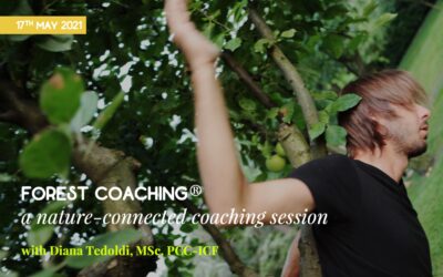 Forest coaching workshop