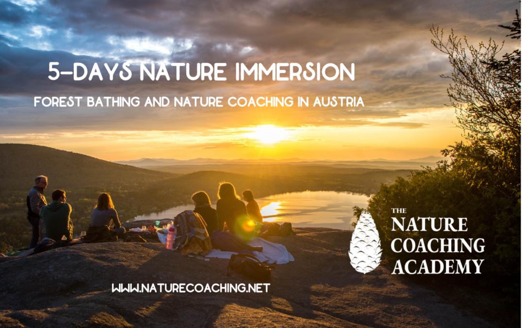 5-days nature immersion in austria