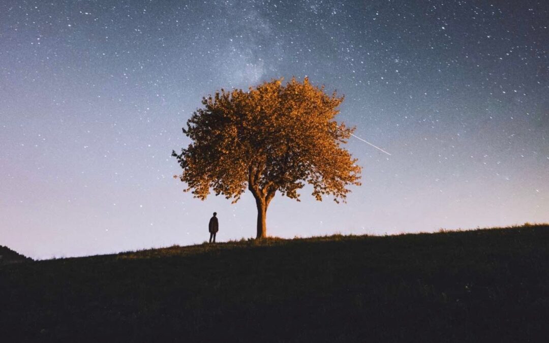 Tree with person starry sky