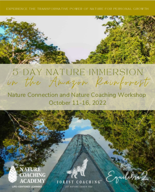 FLYER nature coaching nature bathing in the amazon rainforest
