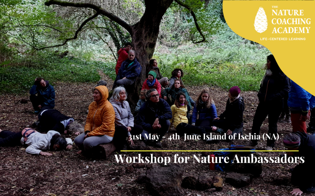 Between seas and volcanoes, immersion in the nature of the island of Ischia