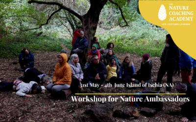 Between seas and volcanoes, immersion in the nature of the island of Ischia