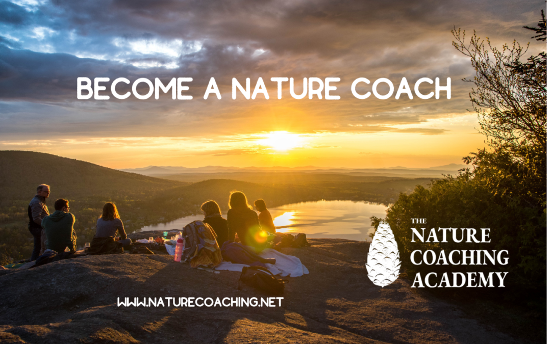 first 2020 workshop – nature coaching academy