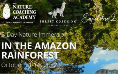 5-day nature immersion in the amazon rainforest