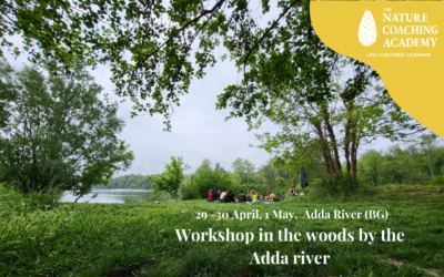 workshop: in the woods by the adda river