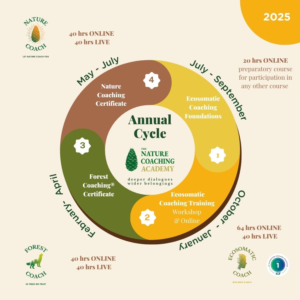 Annual Cycle NCA ENG The Nature Coaching Academy Annual Cycle