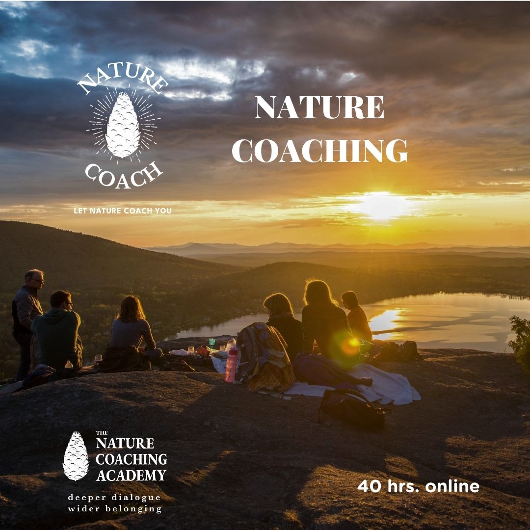 elena barachini forest ambassadors